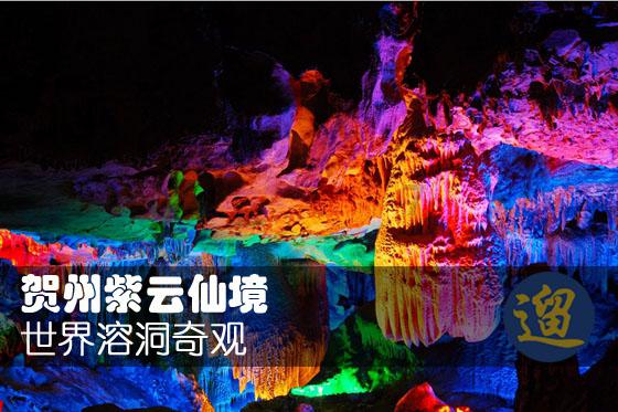 救援卡通老虎