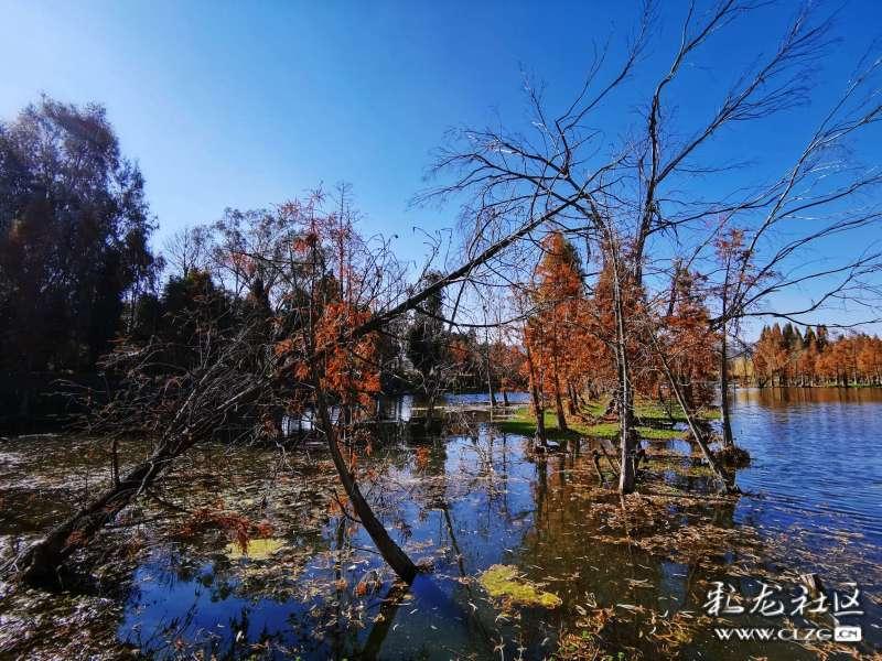 年轻帅的像教科书,如今却“毁容式”变老,这5位男星越活越走样