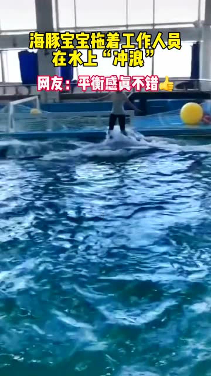 精灵女王的礼物